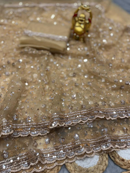 Grand party wear saree