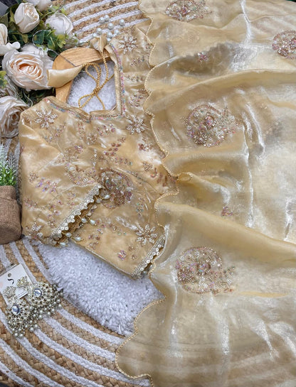 Elegant Space Silk Saree